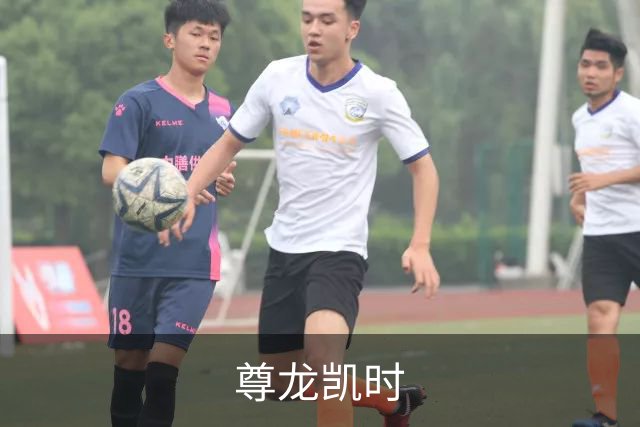 关于尊龙凯时